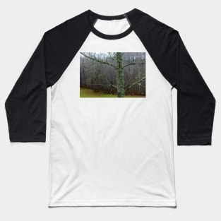 Moss wrapped old tree in autumn Baseball T-Shirt